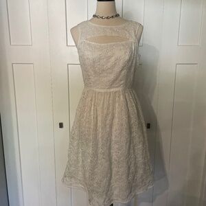 Adrianna Papell  floral lined dress size 6